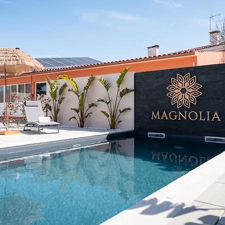 Вилла Magnolia Luxury Виейра-де-Лейрия